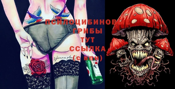 PSILOCYBIN Абдулино