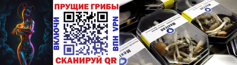 Псилоцибиновые грибы MAGIC MUSHROOMS  как найти закладки  Абаза 
